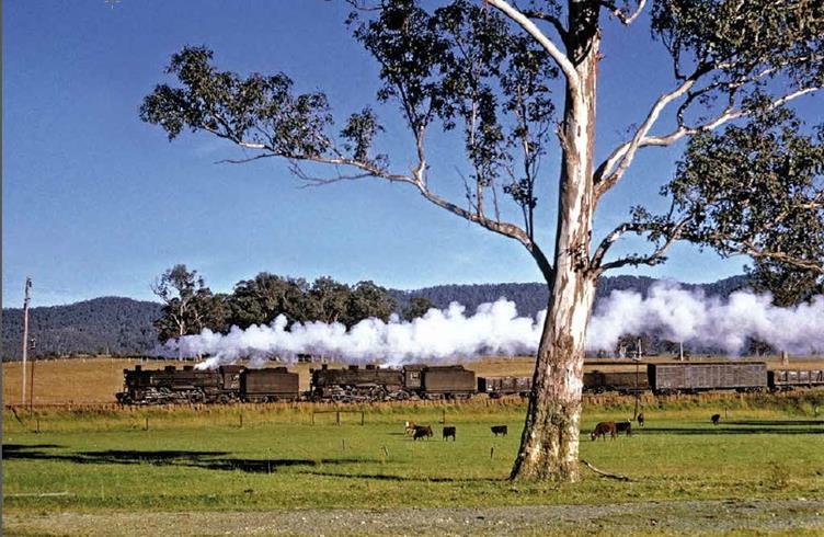 northern exposures. double 59 class steam engines north coast nsw gerg triplett
